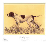 Hunting Dogs  Pointer