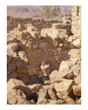 Amphora in Masada ruins  Dead Sea area  Israel