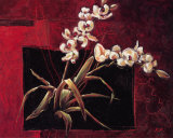 Red Harmony