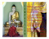 Principles of Humanity - Buddha of Compassion