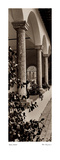 Portico  Toscana