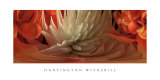 Dahlias IV