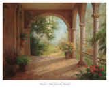 Path from the Veranda