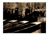 Punts on the River Cam  Cambridge