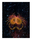 Cancer June 22-July22 (STARS BY NASA)