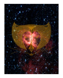 Leo July 23-August 22 (STARS BY NASA)