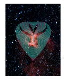 Virgo August 23-September 22 (STARS BY NASA)