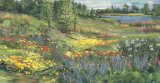 On a Summer's Day