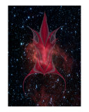 Capricorn December 22-January 19 (STARS BY NASA)