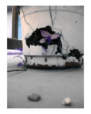 Decayed