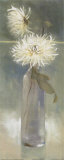 White Spider Mums II