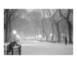Literary Walk Snowstorm - Central Park  New York