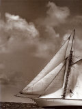 Sepia Sails II