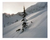 Untouched Solitude