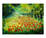 Red poppies 68