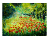 Red poppies 68