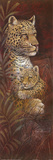 Maternal Affections