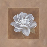 White Chocolate I