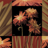 Crimson Mums