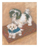 Kyo Leo Maltese