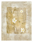 Nature's Story I