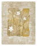 Nature's Story II