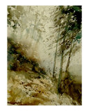watercolor 271005