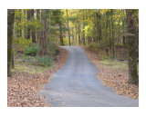 Country Road