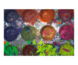 Color Palette