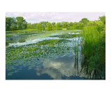 Lake Ontario