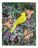 Canary