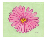 Pink Flower