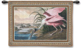 Spoonbill Pelican