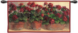 Potted Geraniums