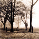 Woods with Fence