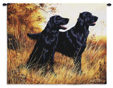 Flatcoat Retreiver