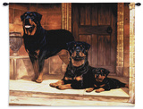 Rottweiler