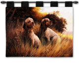 Clumber Spaniel