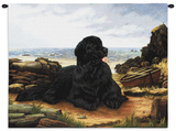 Newfoundland