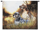 English Setter