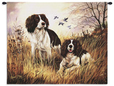 Springer Spaniel