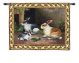 Lapin