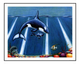 Orca with Baby