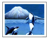 Orcas with Mt Rainier