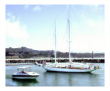 Power and Sail Pass in Harbor