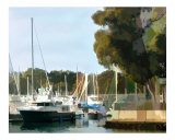 Marina Views