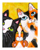 Three Cat Squeeze Pose