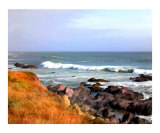 Sunny Ocean Shoreline