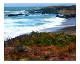 California Central Coast