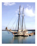 Tall Ship in Harbor